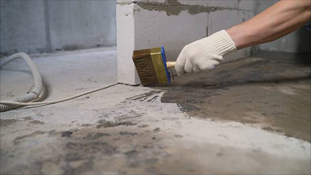 SJ Waterproofing Pros Interior Drainage System coverage map for Maple Rapids, MI and surrounding area